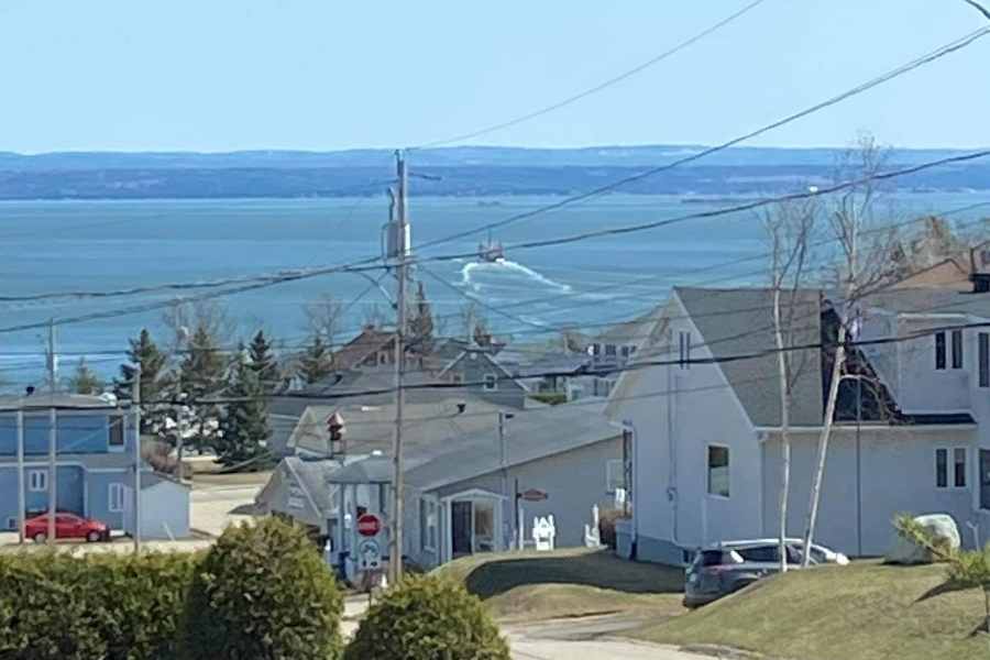 Vue partielle sur le fleuve - ©Vue partielle sur le fleuve