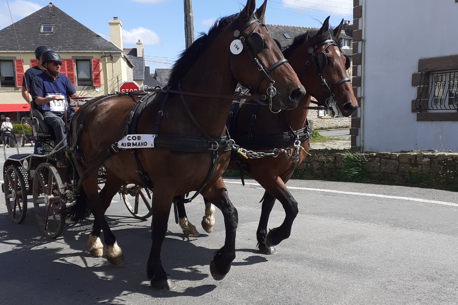  - ©OFFICE DE TOURISME DU PAYS DE LANDERNEAU-DAOULAS