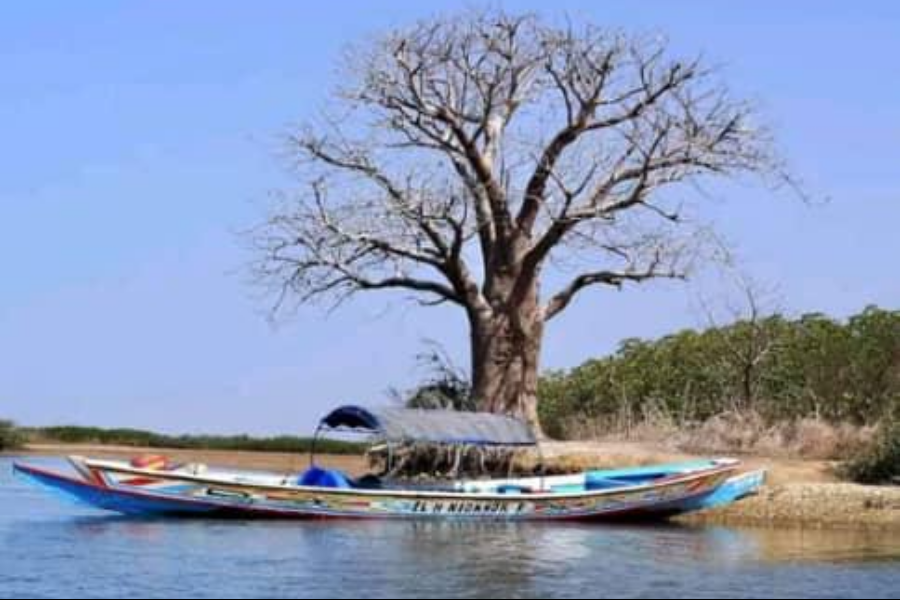 Pirogue Du Saloum - ©le client