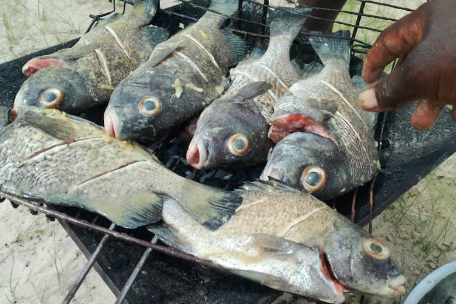 Pirogue Du Saloum - ©le client