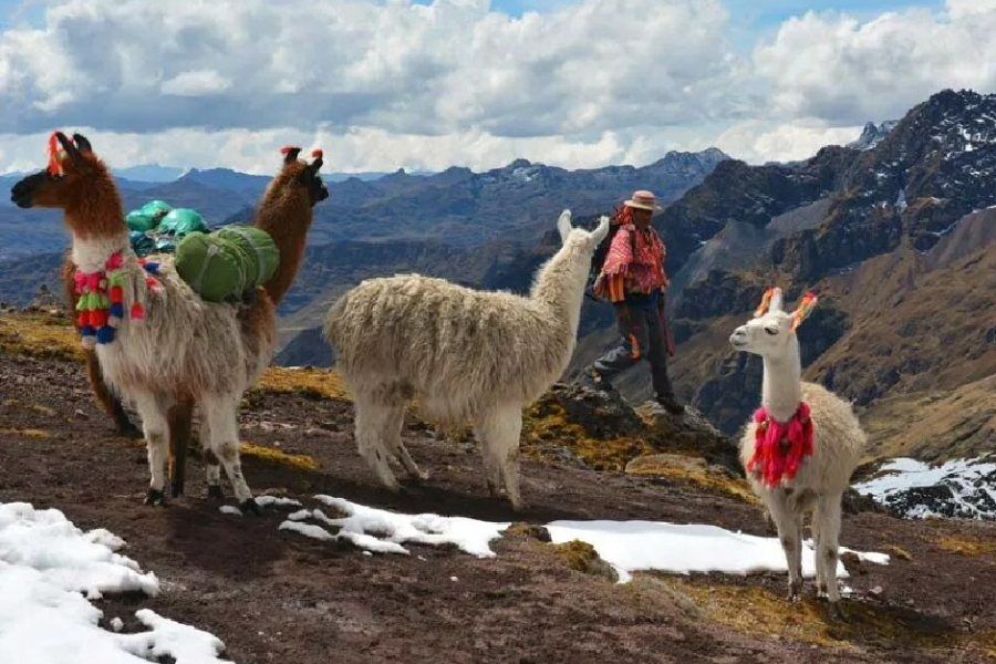 ENCUENTROS PERU ADVENTURE