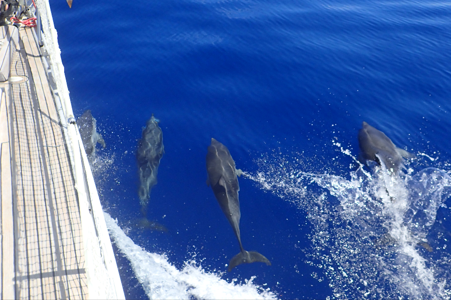 NAXOS SAILING TOURS - ©NAXOS SAILING TOURS