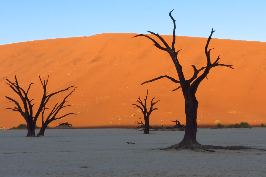 Dead Vlei, Sossusvlei Namibia - ©Taedza Mtambanengwe