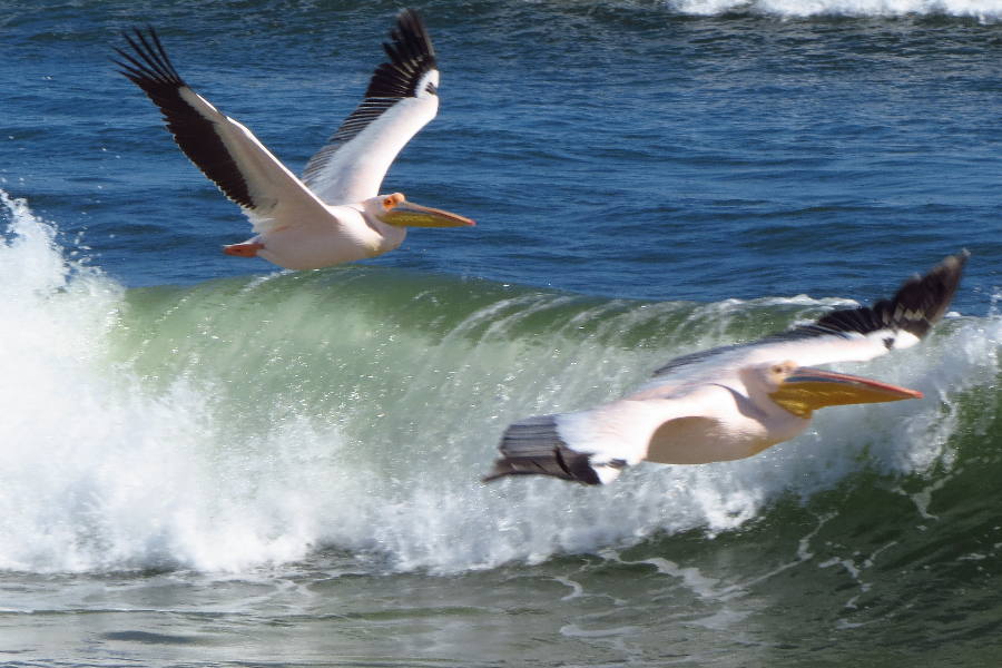 Sandwich Harbour, Namibia - ©Taedza Mtambanengwe