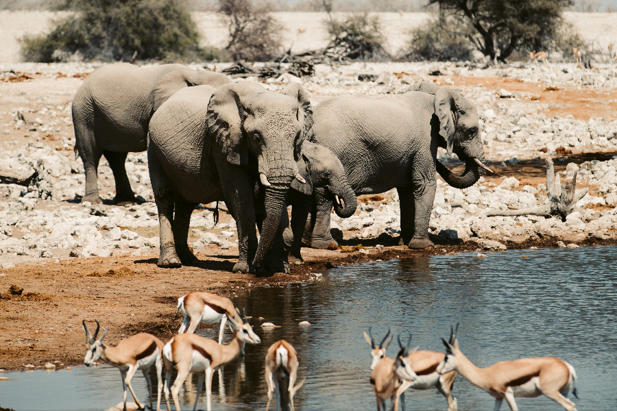 KALAHARI CAR HIRE - ©KALAHARI CAR HIRE