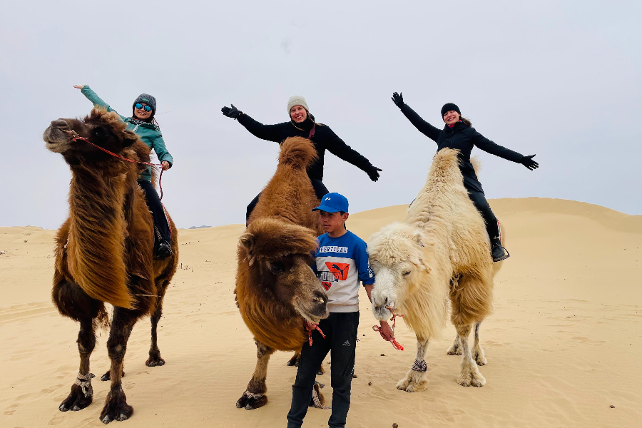 The Gobi Sand Dunes