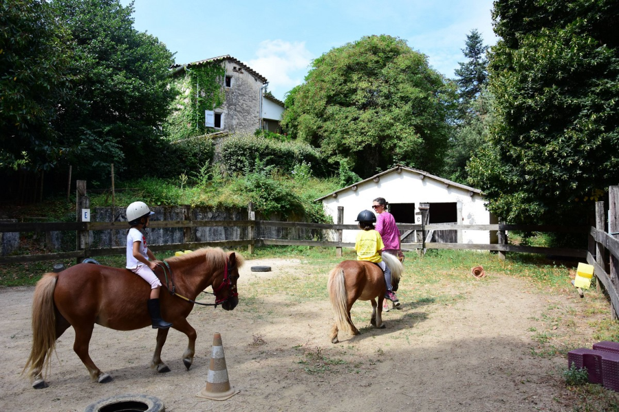 Les poneys du Val d'Emeraude - ©gitealafermeduvaldemeraude