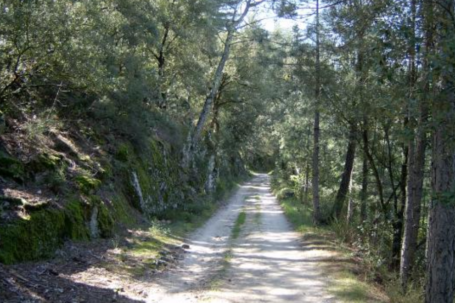 Chemin pour se rendre au Gîte à la Ferme - ©gitealafermeduvaldemeraude