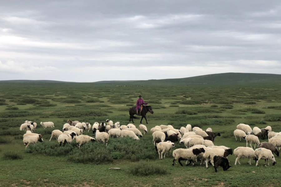 Green Clover Tour Mongolia - ©Green Clover Tour Mongolia