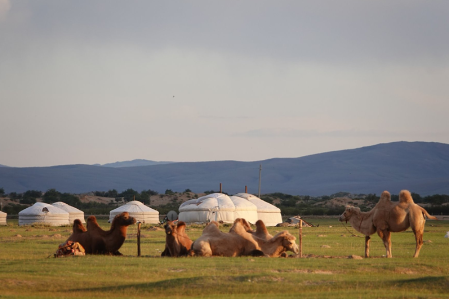 Green Clover Tour Mongolia - ©Green Clover Tour Mongolia