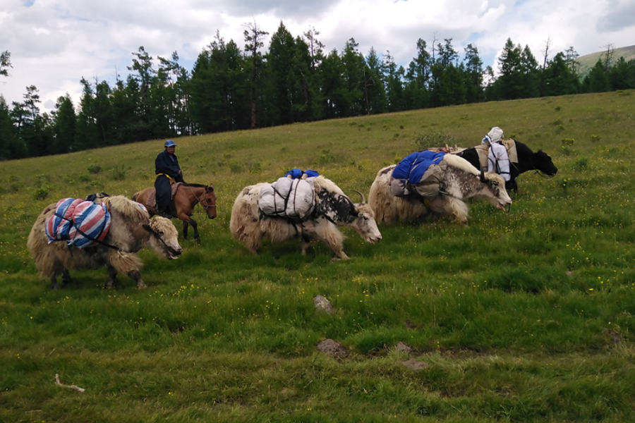 Green Clover Tour Mongolia - ©Green Clover Tour Mongolia