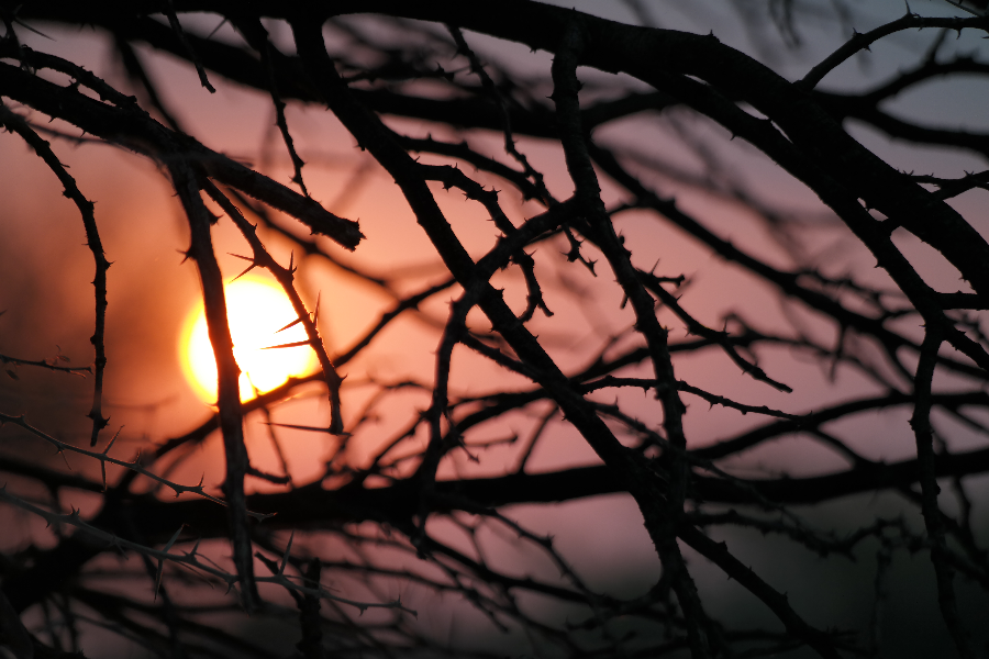 Magnificent sunsets - ©Simone Tenschert