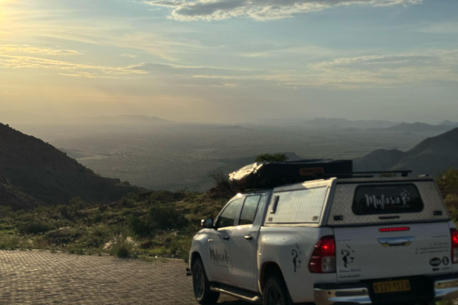 Mufasa Car Rental