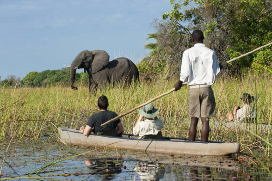  - ©OKAVANGO EXPLORATION SAFARIS