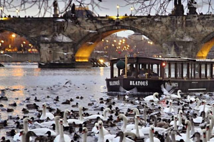 Prague Venice Boat - ©Prague Venice Boat