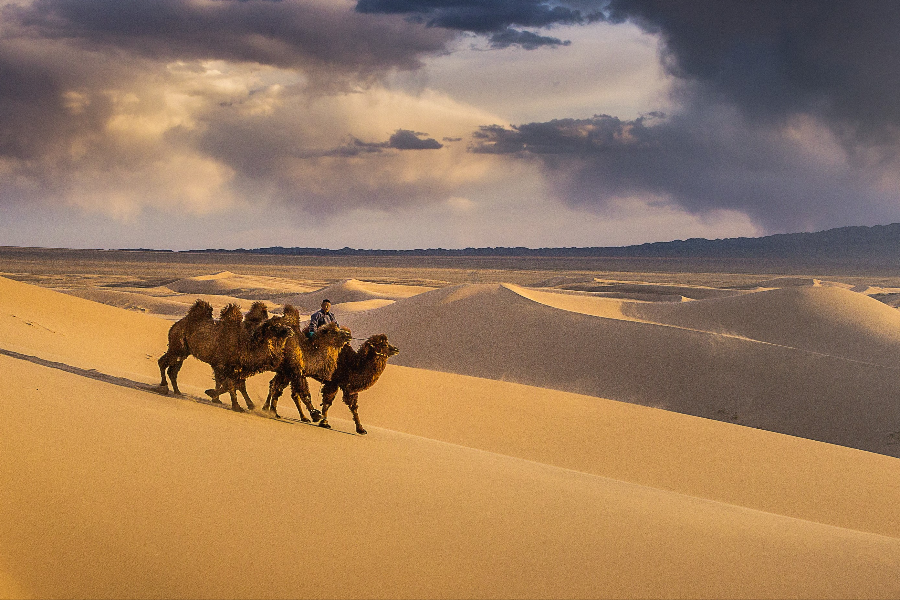 Gobi Attraction Tour - ©Gobi Attraction Tour