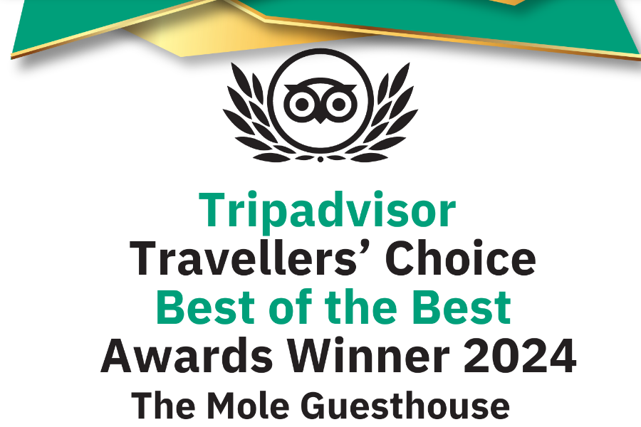 AWARD WINNING GUESTHOUSE - ©THE MOLE GUESTHOUSE