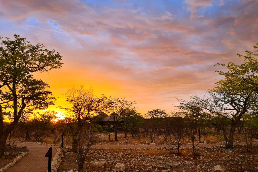  - ©ETOSHA OBERLAND LODGE