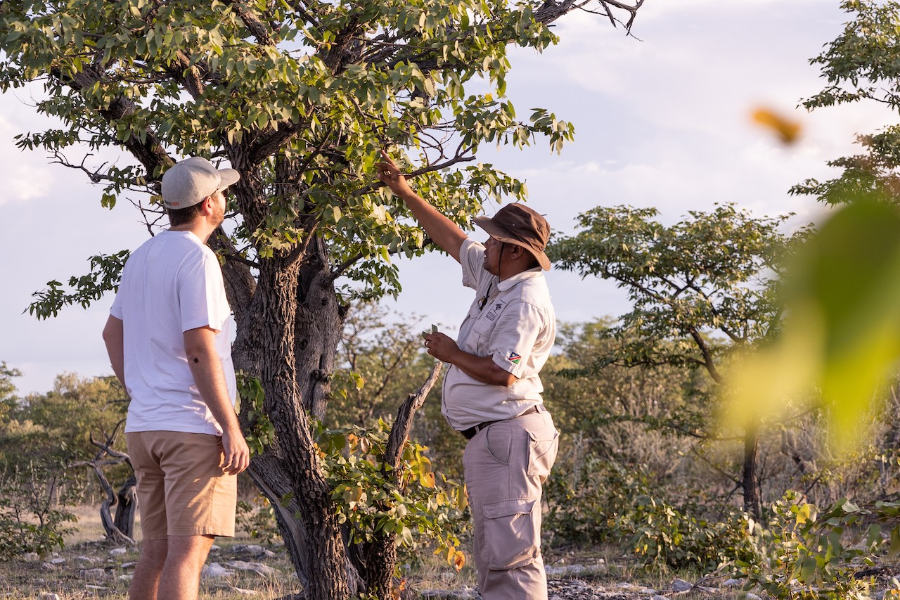 ONDILI LODGES ET ACTIVITES