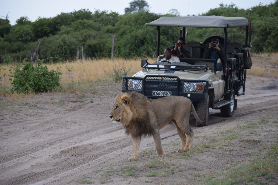  - ©AFRICA SKY HOVERY SAFARIS