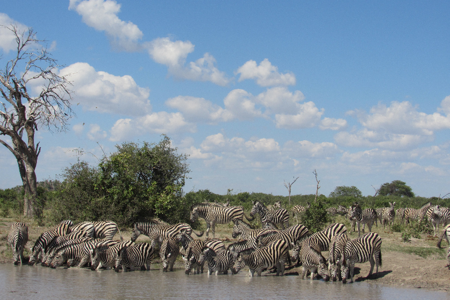 Africa sky hovery Safaris - ©Africa sky hovery Safaris