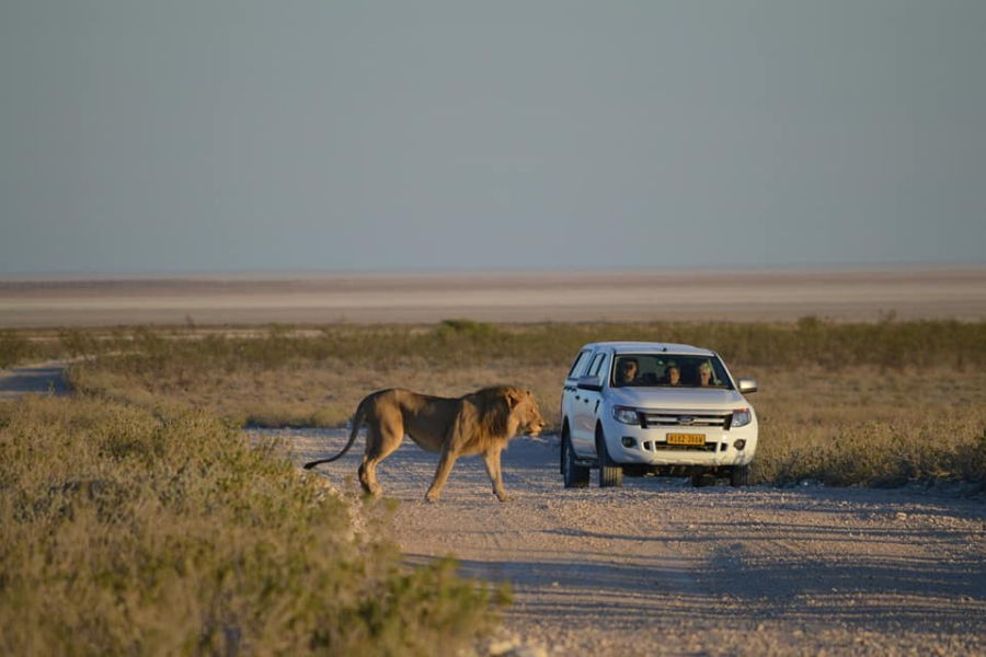  - ©NAMIBIA DREAM SAFARIS & TOURS