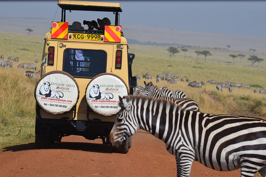 EXPLORER KENYA TOURS AND TRAVEL