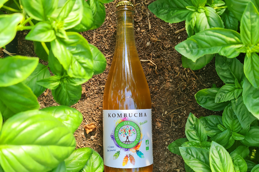 kombucha basilic - ©OK ORIGINAL KOMBUCHA