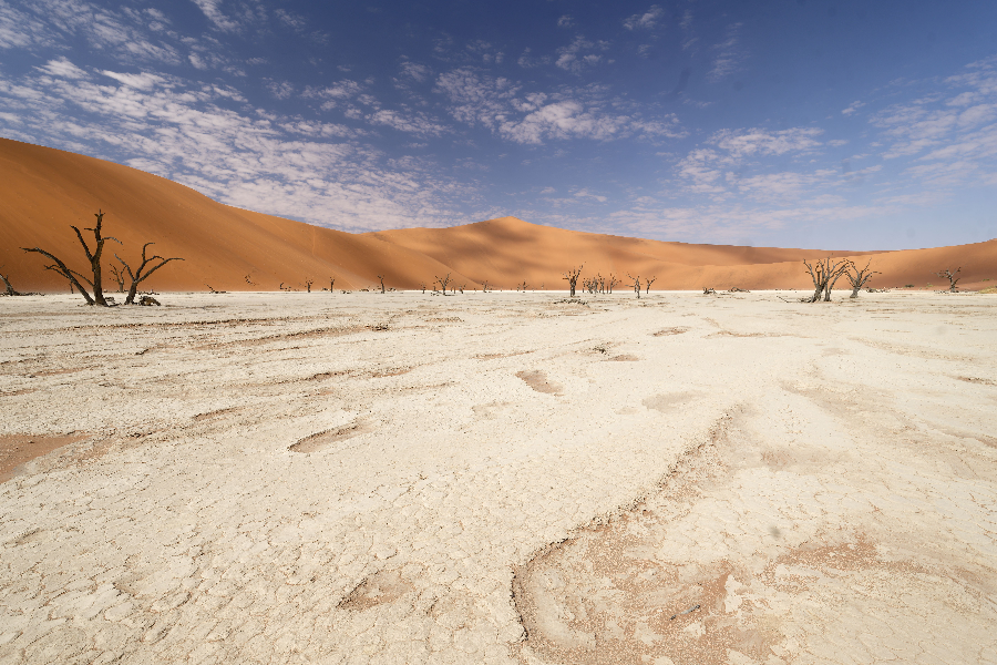 Deadvlei - ©Bushbundu Car Rental