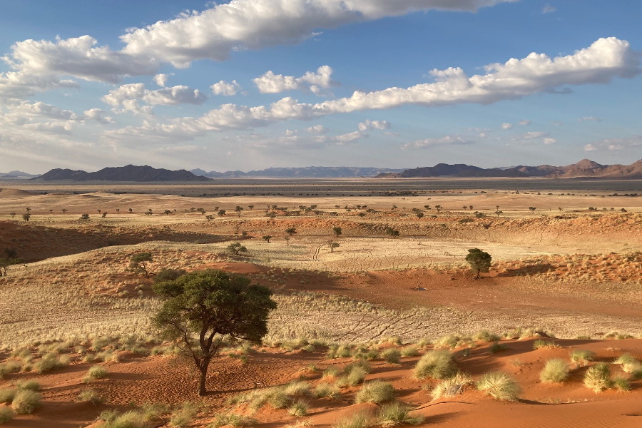 Namib Desert - ©Bushbundu Car Rental