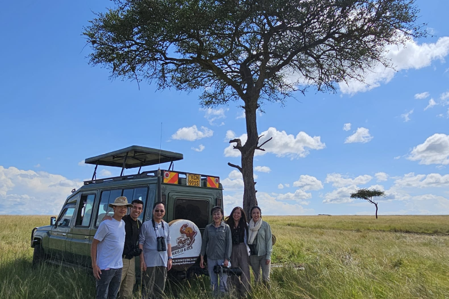 safari
