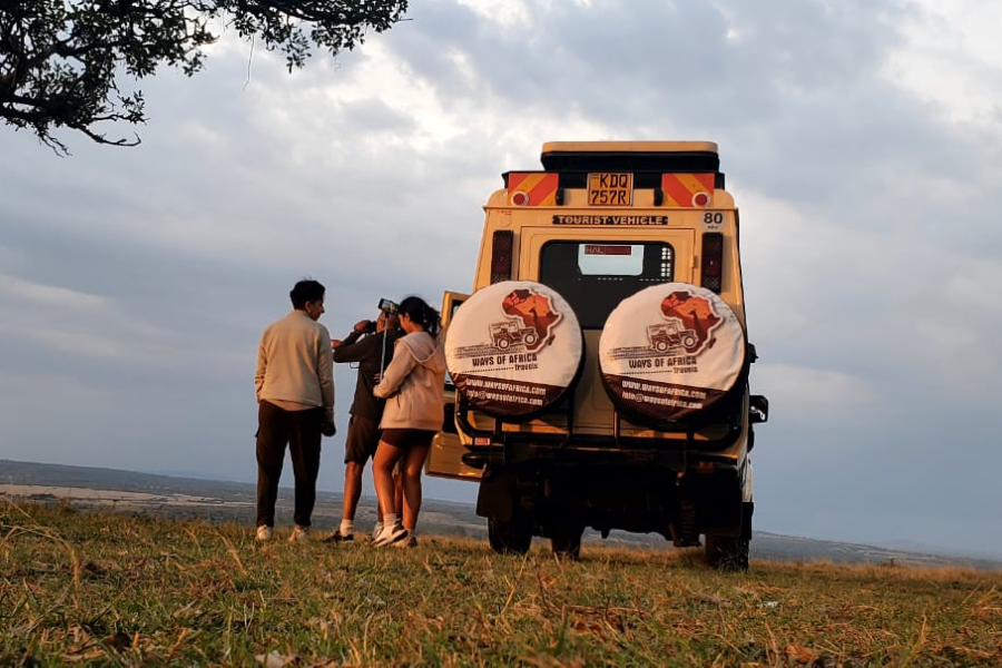 safari