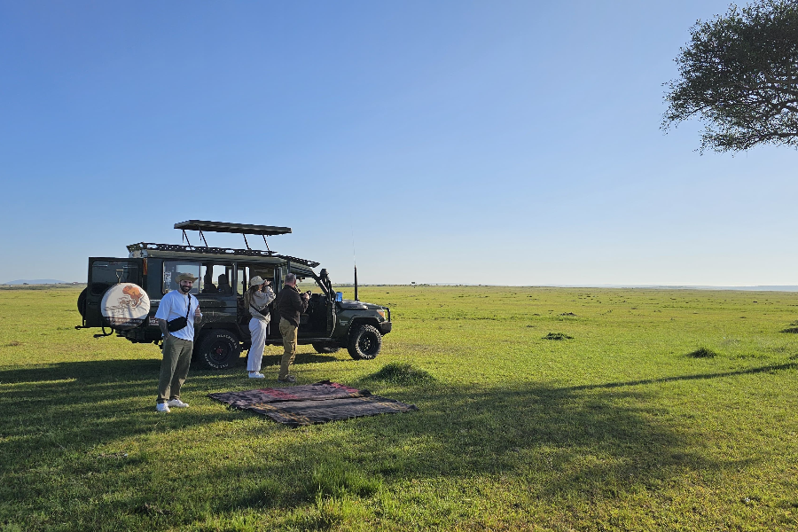safari