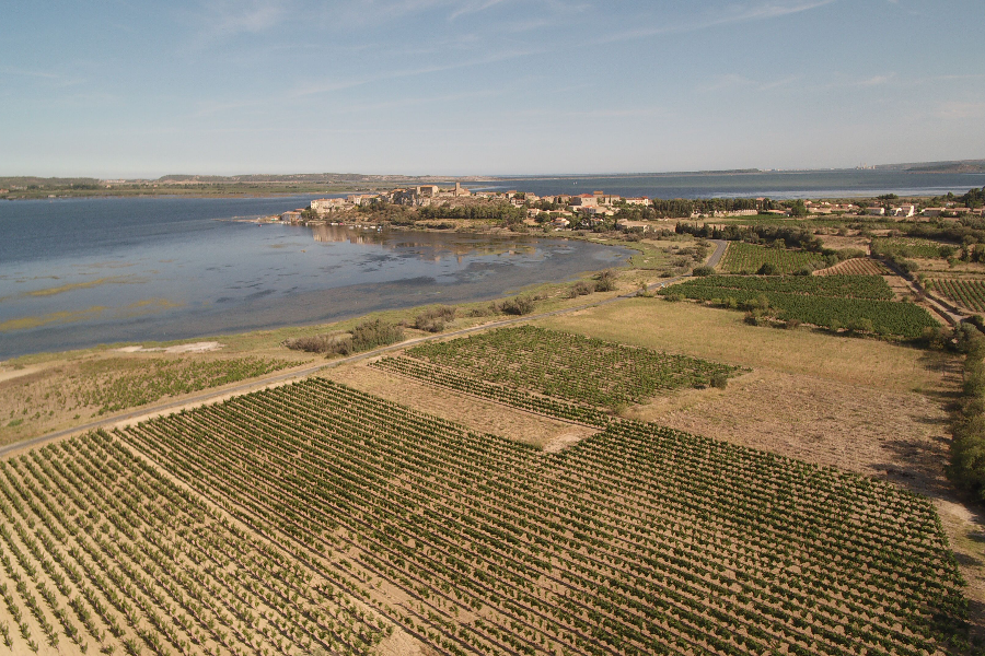 Domaine Daude