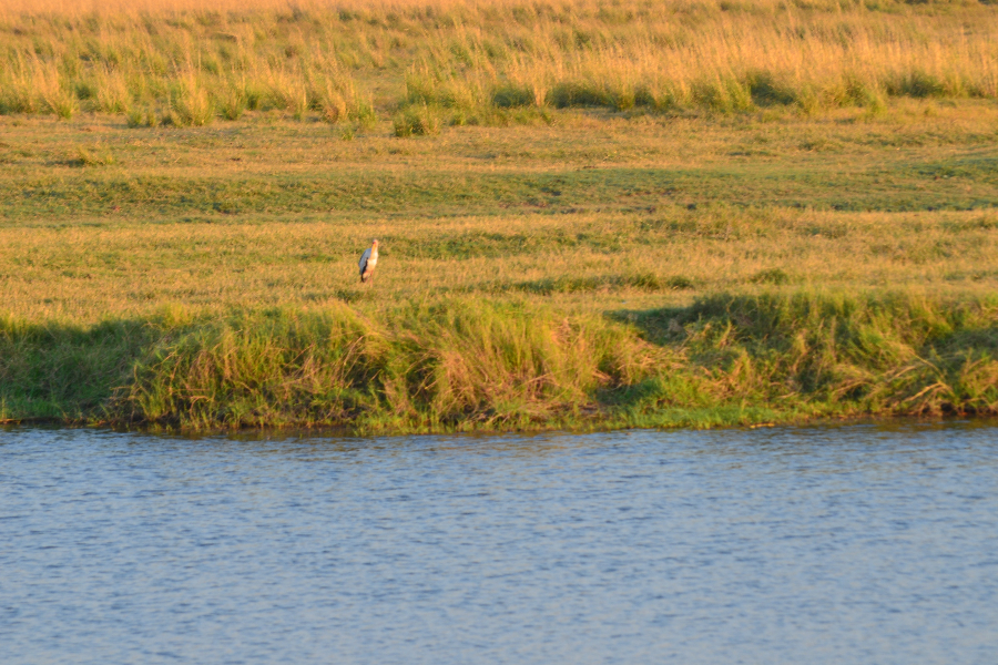 KWALATE SAFARIS - ©KWALATE SAFARIS