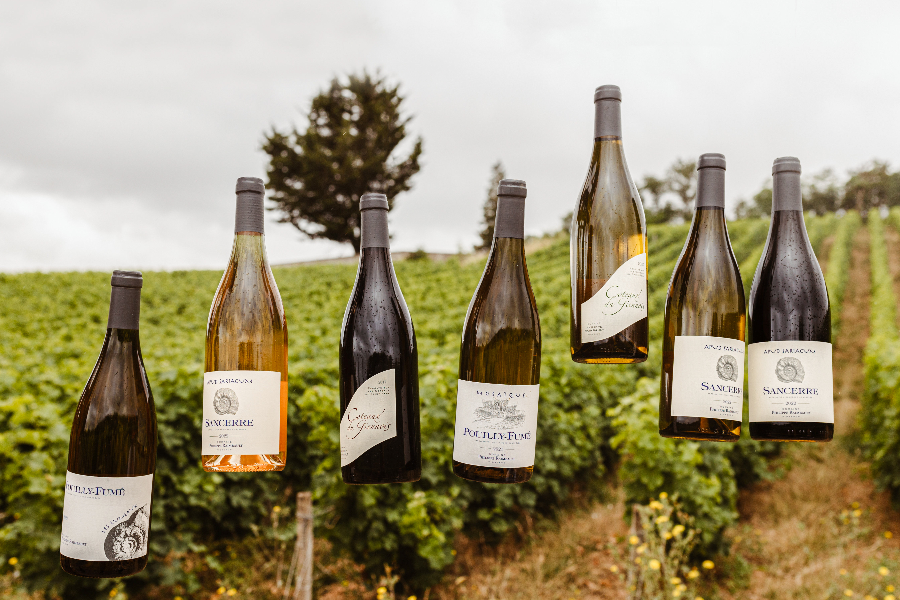 Différentes cuvées du domaine - ©domaine philippe raimbault