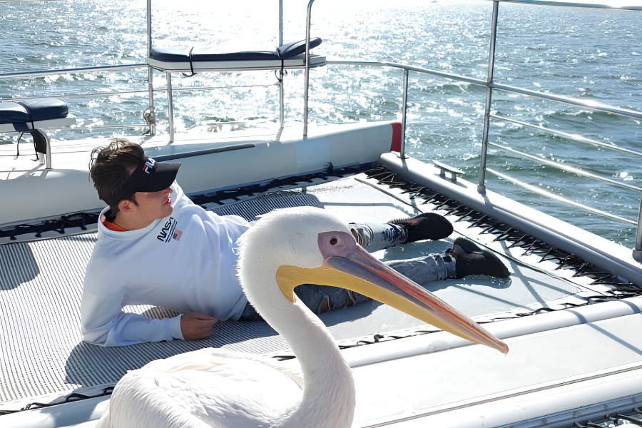 Great White or Eastern White Pelican in Walvis Bay, on a Catamaran Dolphin Cruises ocean tour - ©Catamaran Dolphin Cruises