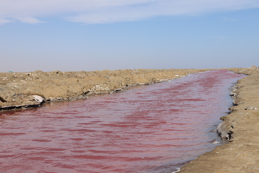 Pink lakes and streams in the Walvis Bay salt pan area, on the Sandwich Harbour 4x4 dune driving safari, with Catamaran Dolphin Cruises - ©Catamaran Dolphin Cruises