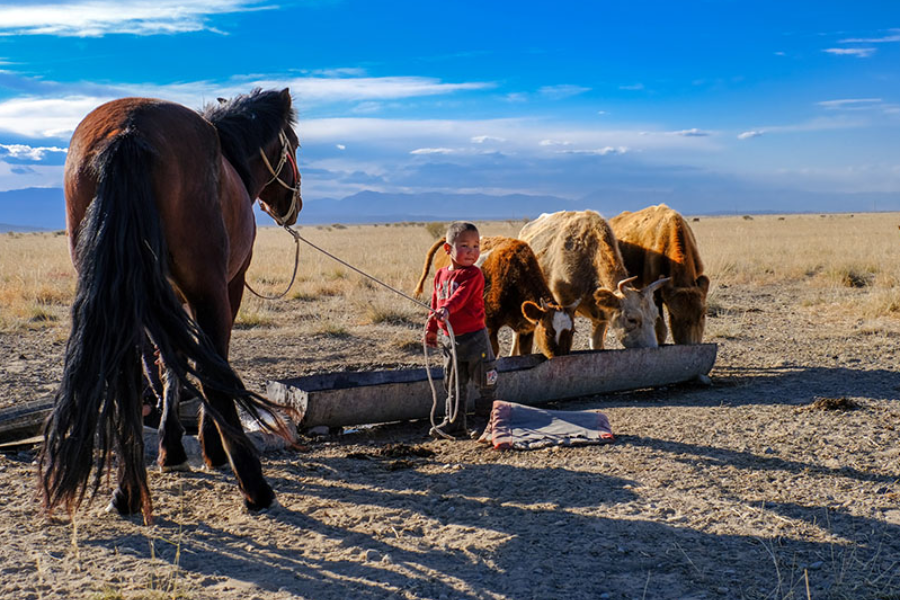 Mongolian dot travel - ©Mongolian dot travel