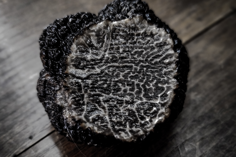 tuber melanosporum mûre