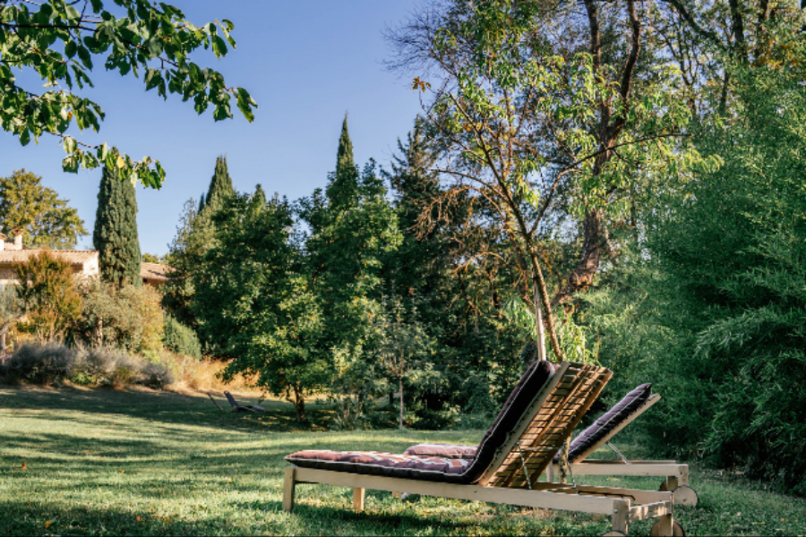 le jardin - ©tête d'ail