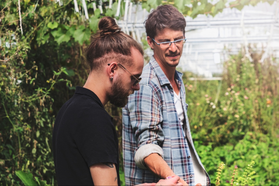 Jardins de Brenne, c'est ici que sortent majoritairement les légumes travaillés par le chef Blondeau - ©Orbys