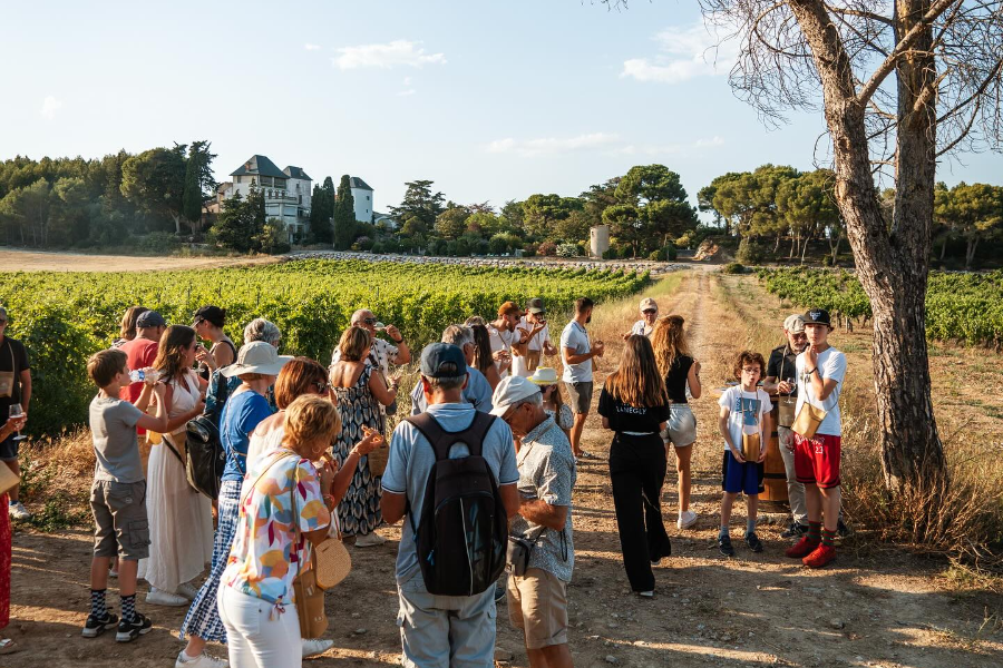 Découverte du domaine - Oenotourisme
