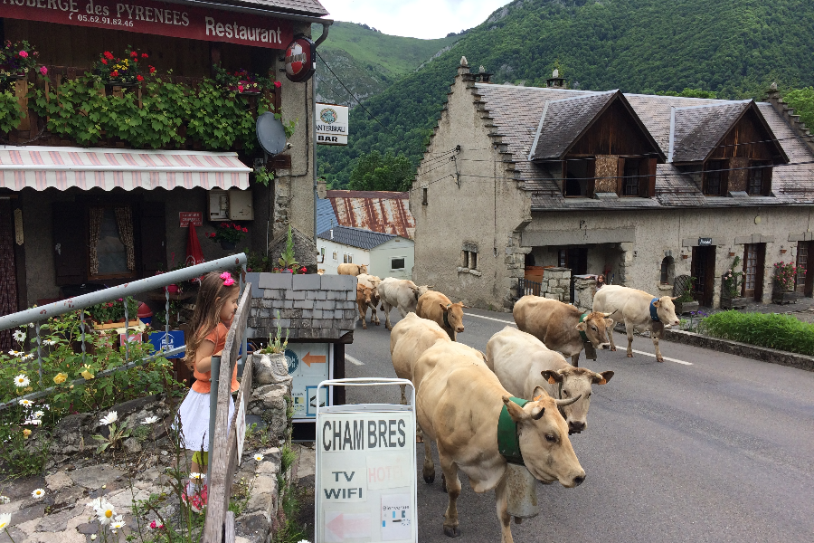 Auberge des Pyrénées - ©Auberge des Pyrénées