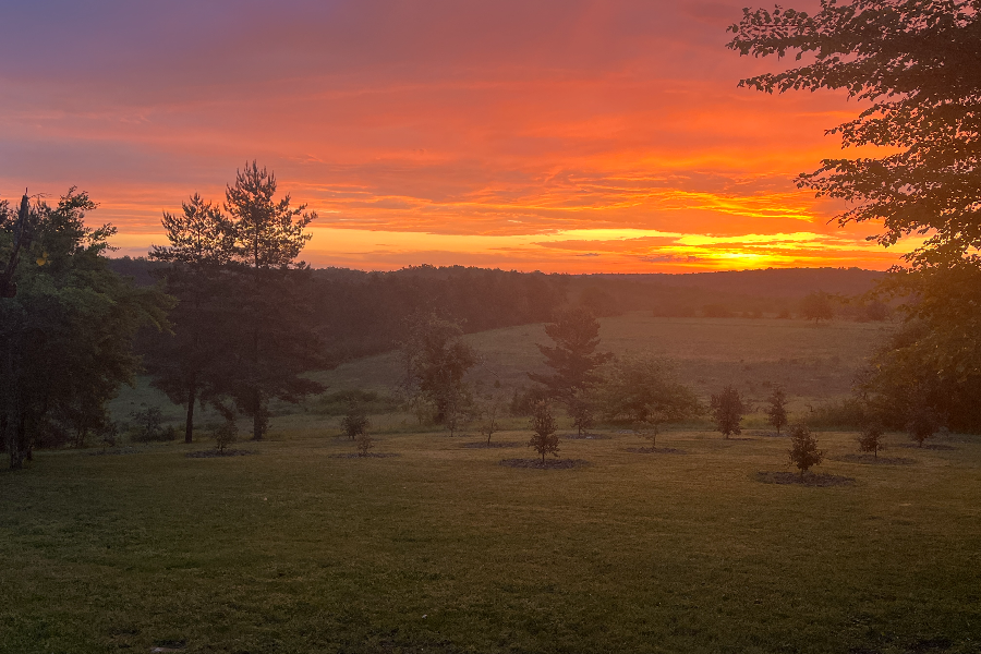 Coucher de soleil sur la truffière - ©Delphine Roussarie