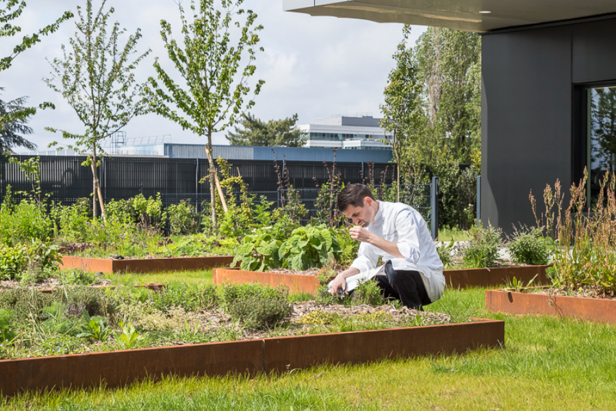 Jardin potager - ©ED