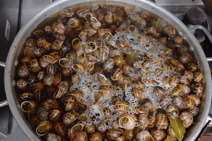 Cuisson des escargots pour la soirée cagouilles - ©Constant Simon