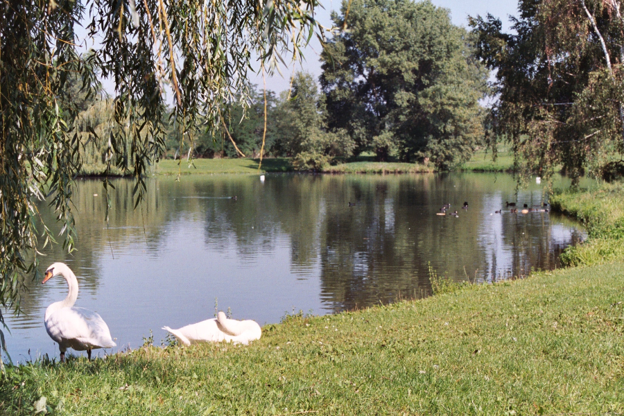 Parc de l'Eiblen