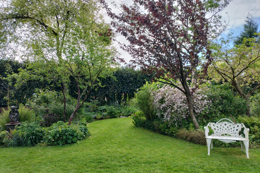 Jardin d'ANgélique (MONTMAIN)