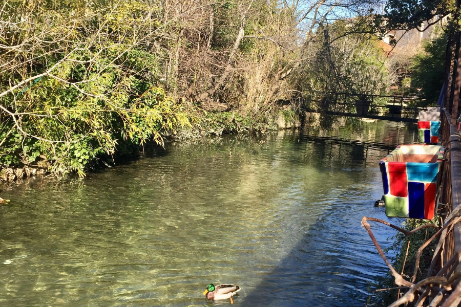 Une belle terrasse toute en bord de Sorgue